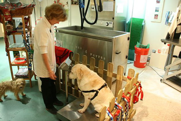 Un tour sur la balance