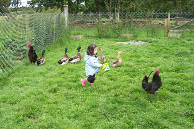 Valentina &agrave; la chasse aux coqs