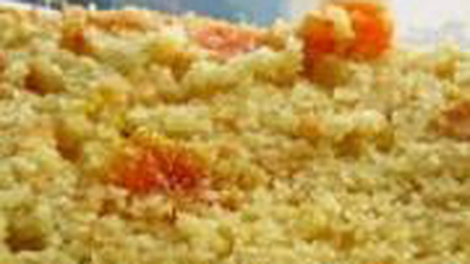 Cake léger aux abricots