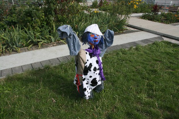 Un épouvantail original