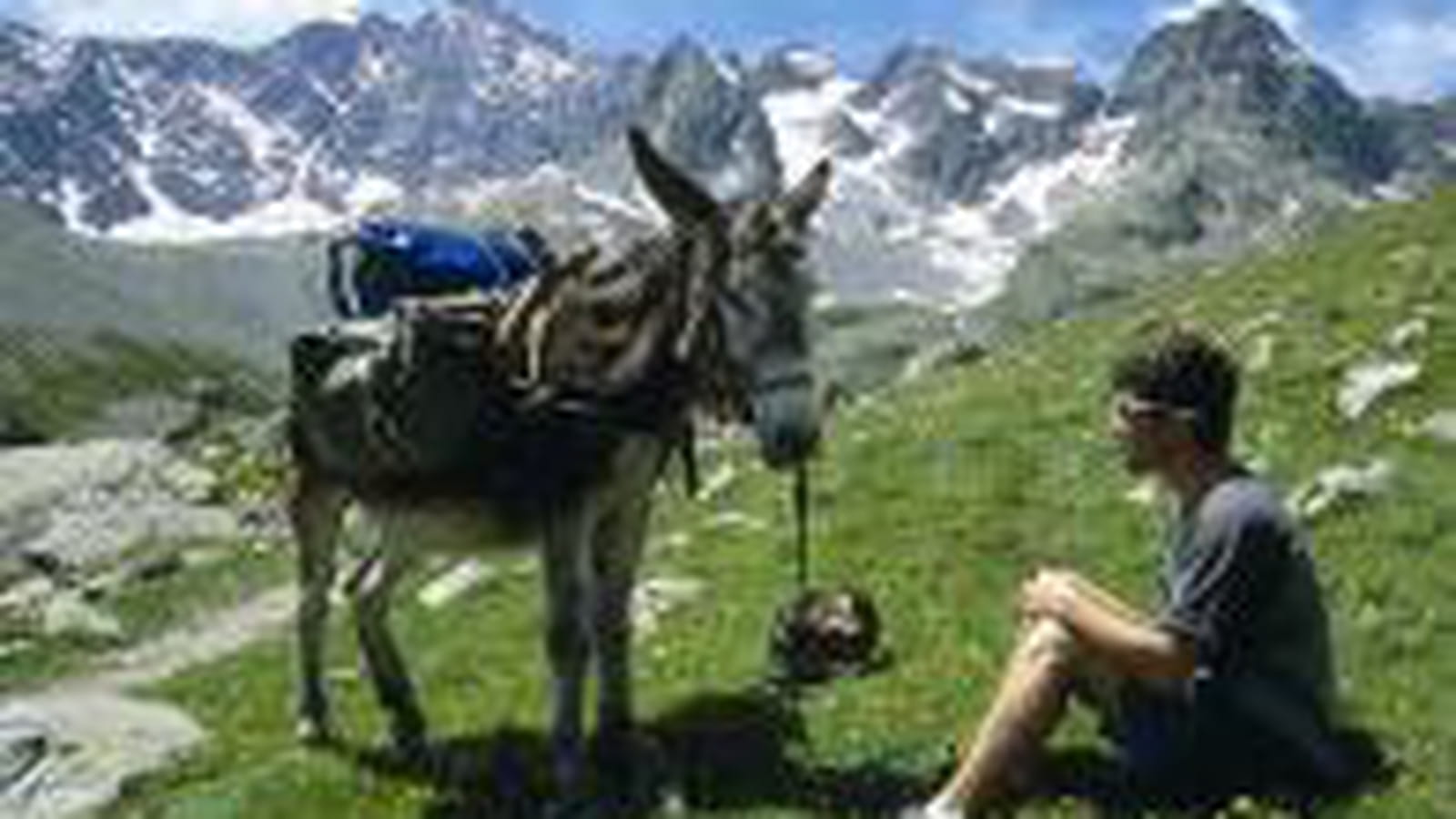 Majestueux Oisans 