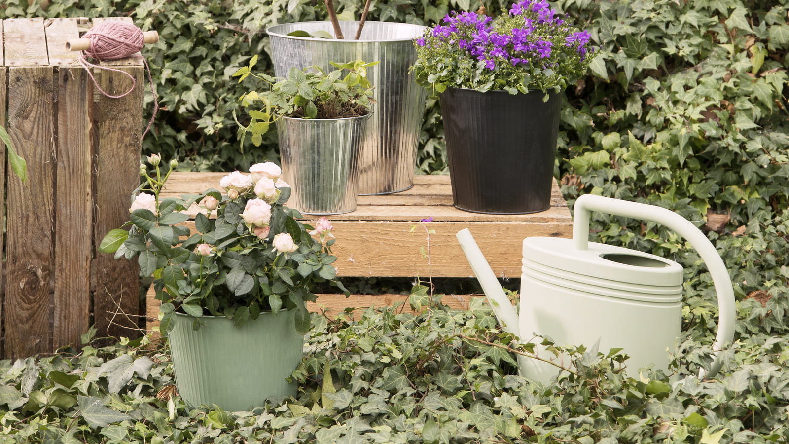 Pots de fleurs Sostrene Grene