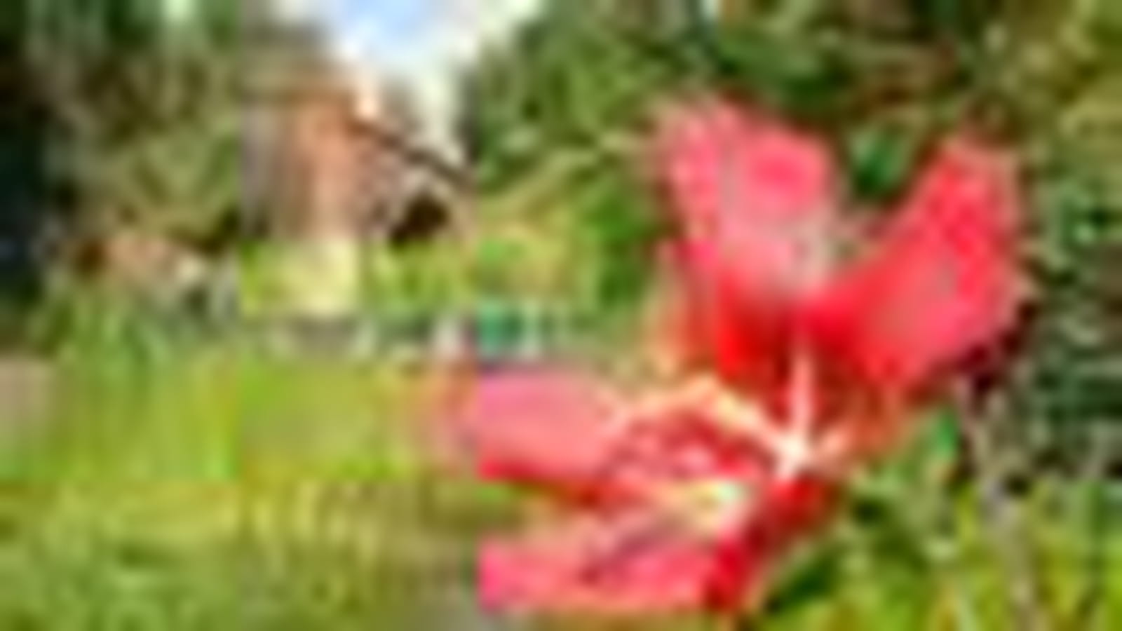 Tarn
