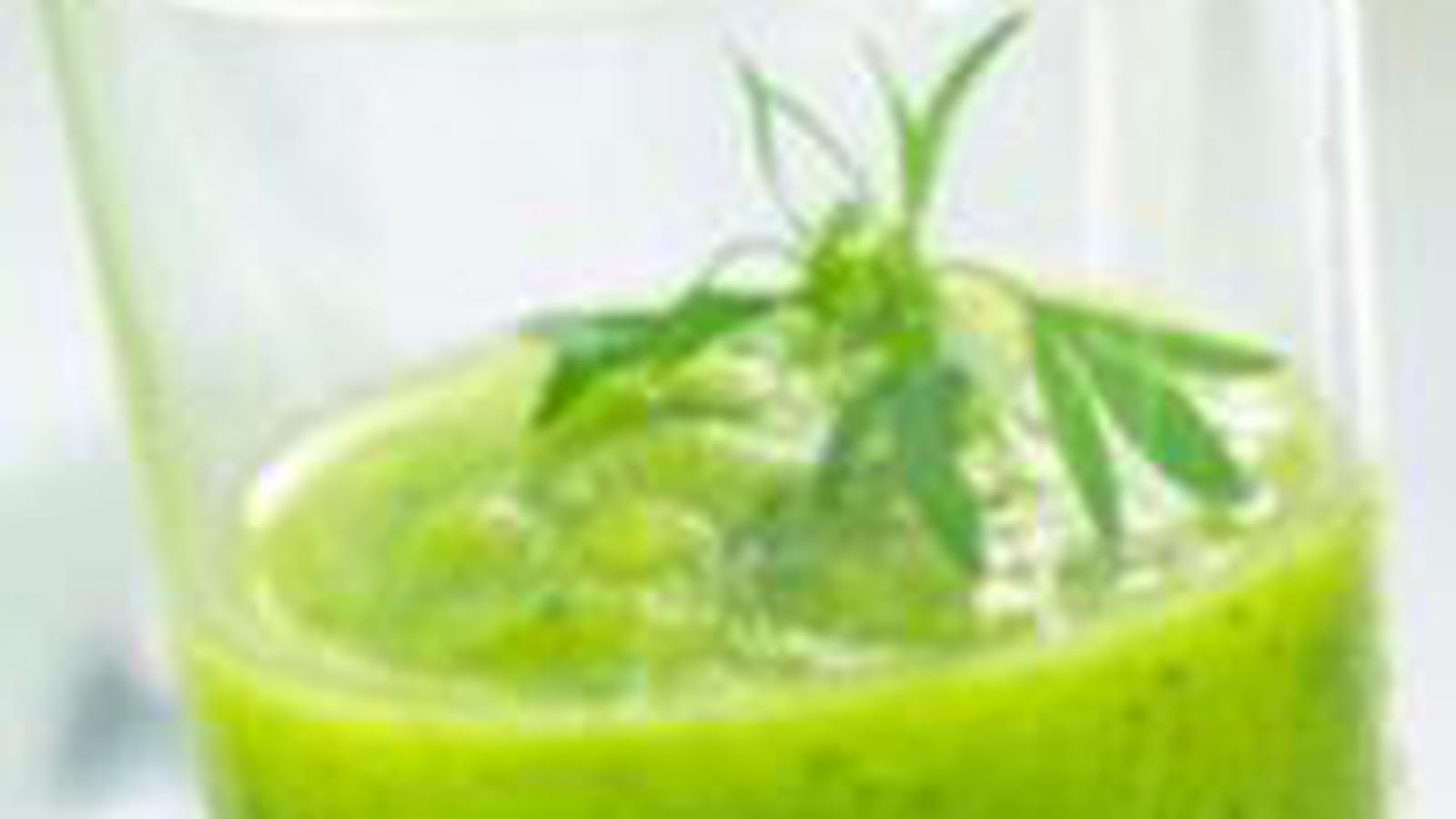 Gaspacho de concombre