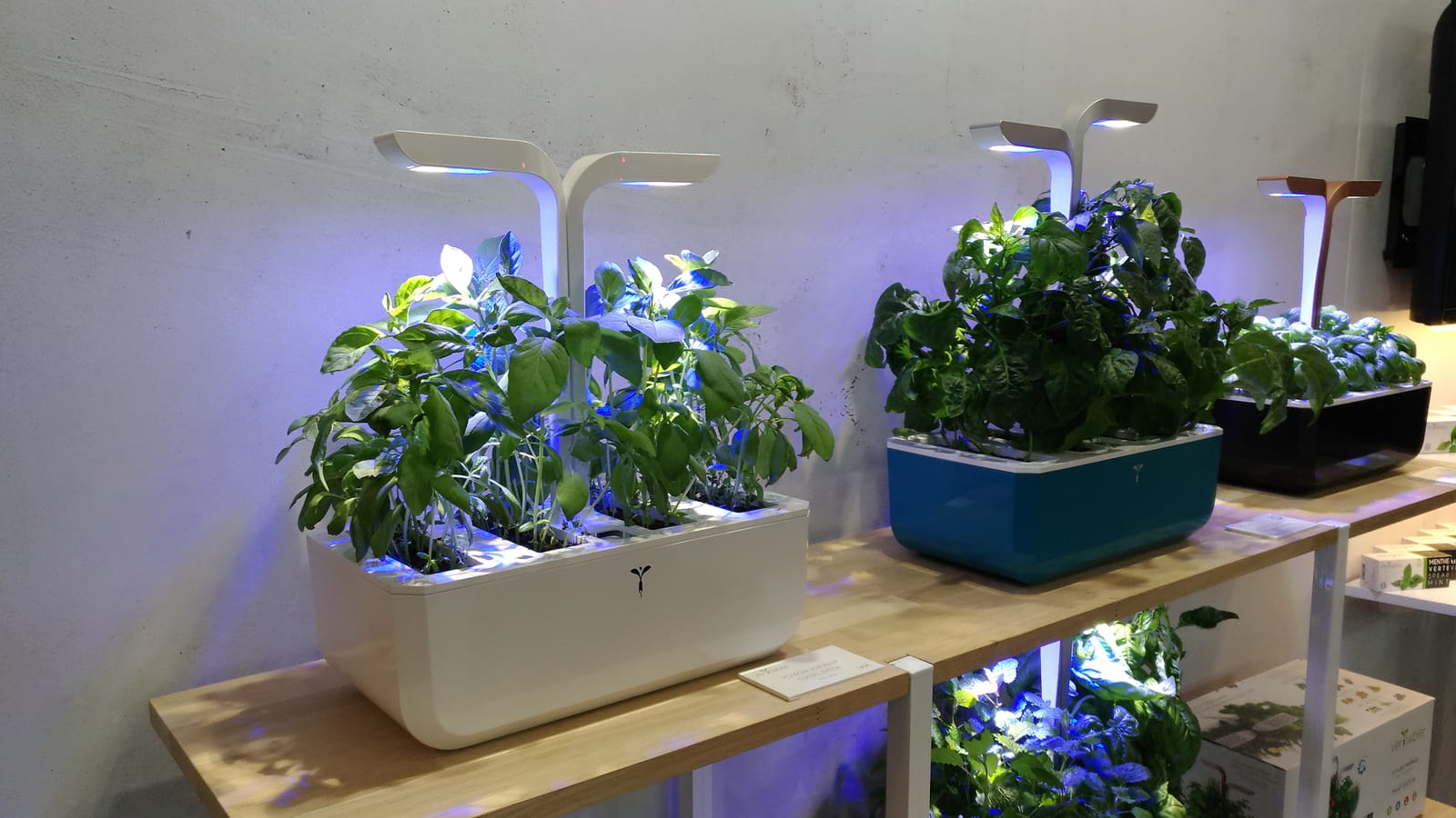 Potager d'intérieur Véritable
