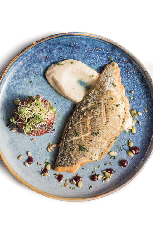 Filet de daurade grillée, purée de céleri, quinoa de betterave