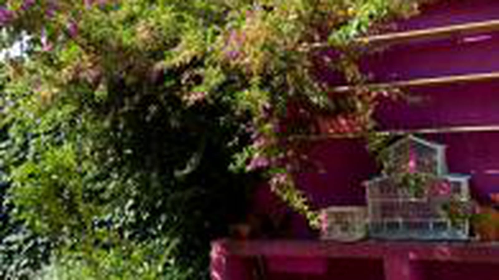 La terrasse