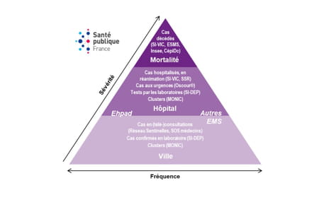 schéma de surveillance santé publique france