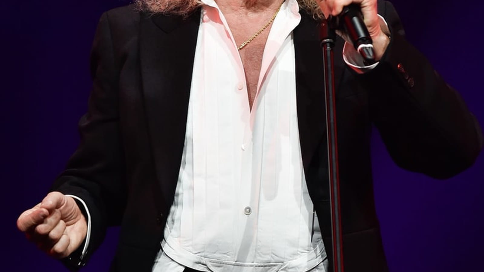 Michel Polnareff 