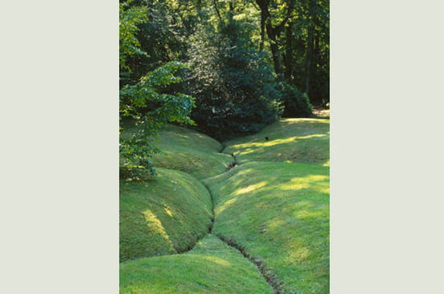 Paysage contrasté, jardin sur la côte normande