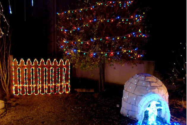 Un saule en habit de fêtes