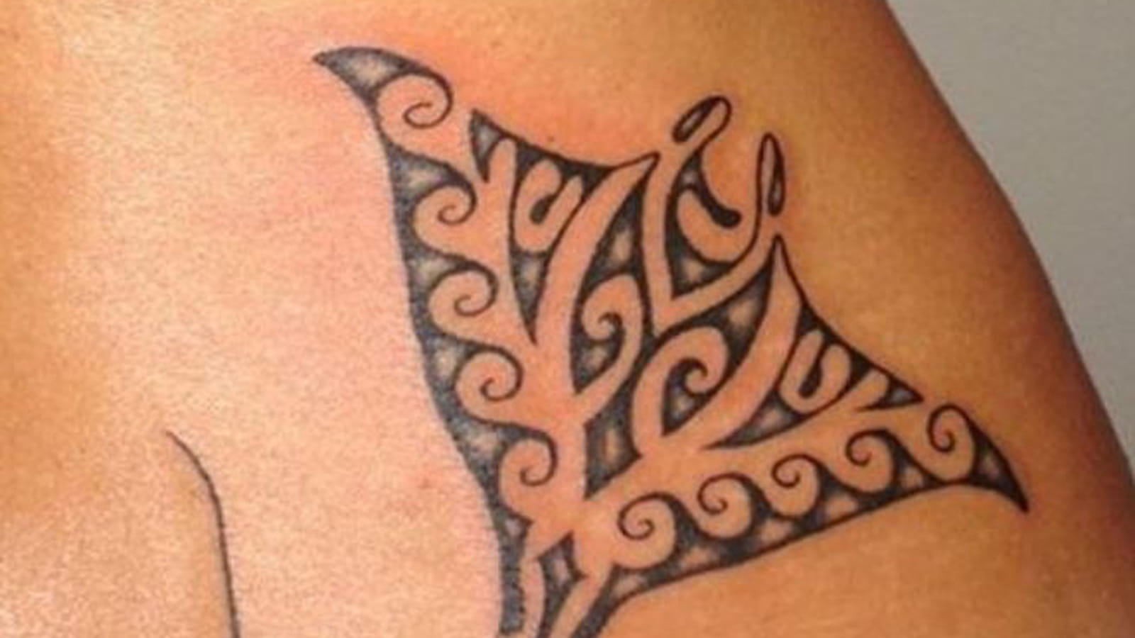Raie maori