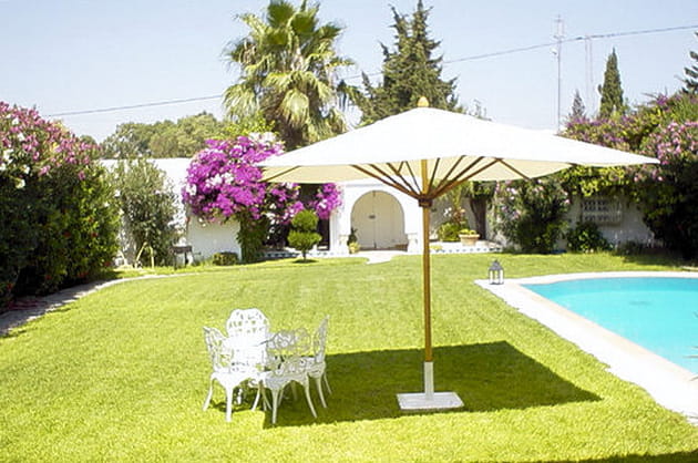 Des floraisons méditerranéennes