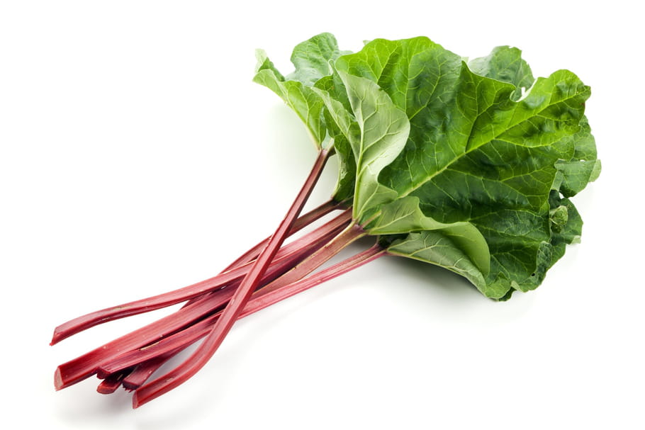 Rhubarbe