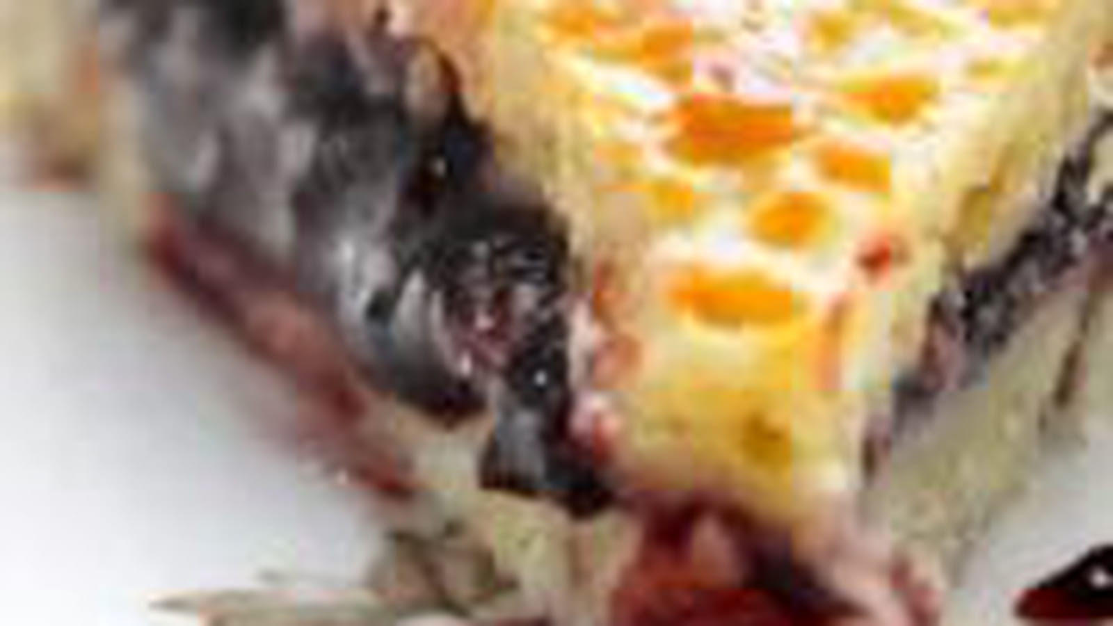 Gâteau basque à la confiture