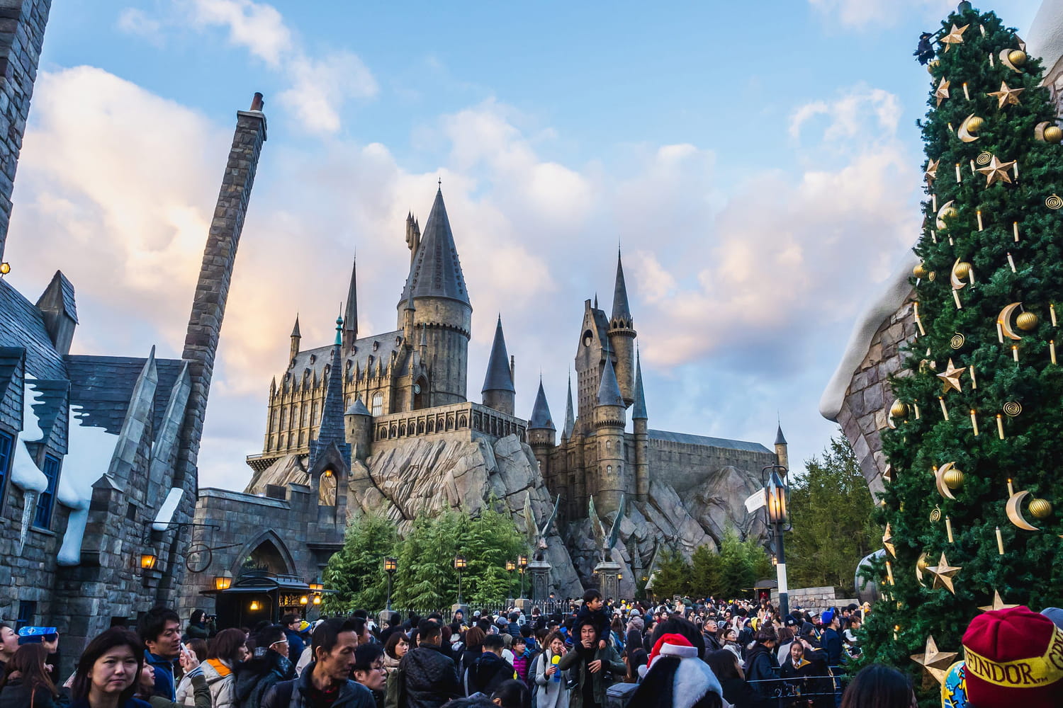 A special Harry Potter attraction will see the light of day in a world famous park
