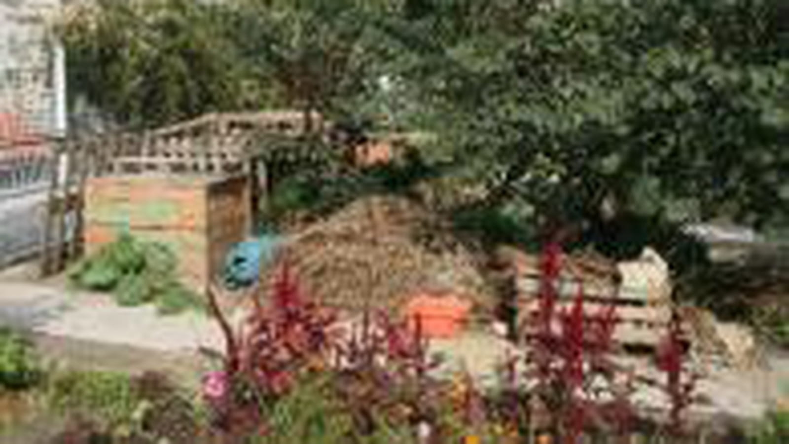 Compost