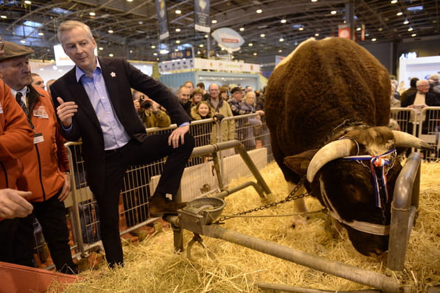 Bruno Le Maire, gentleman farmer
