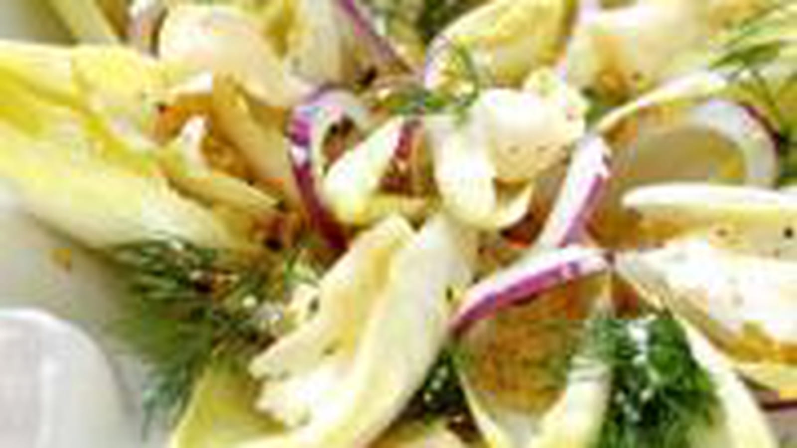 Fraîcheur d'endives au livarot