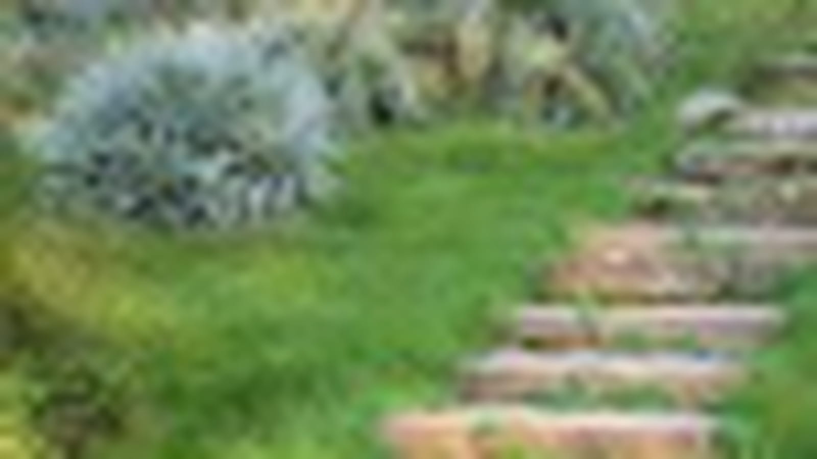 Jardin du Chili