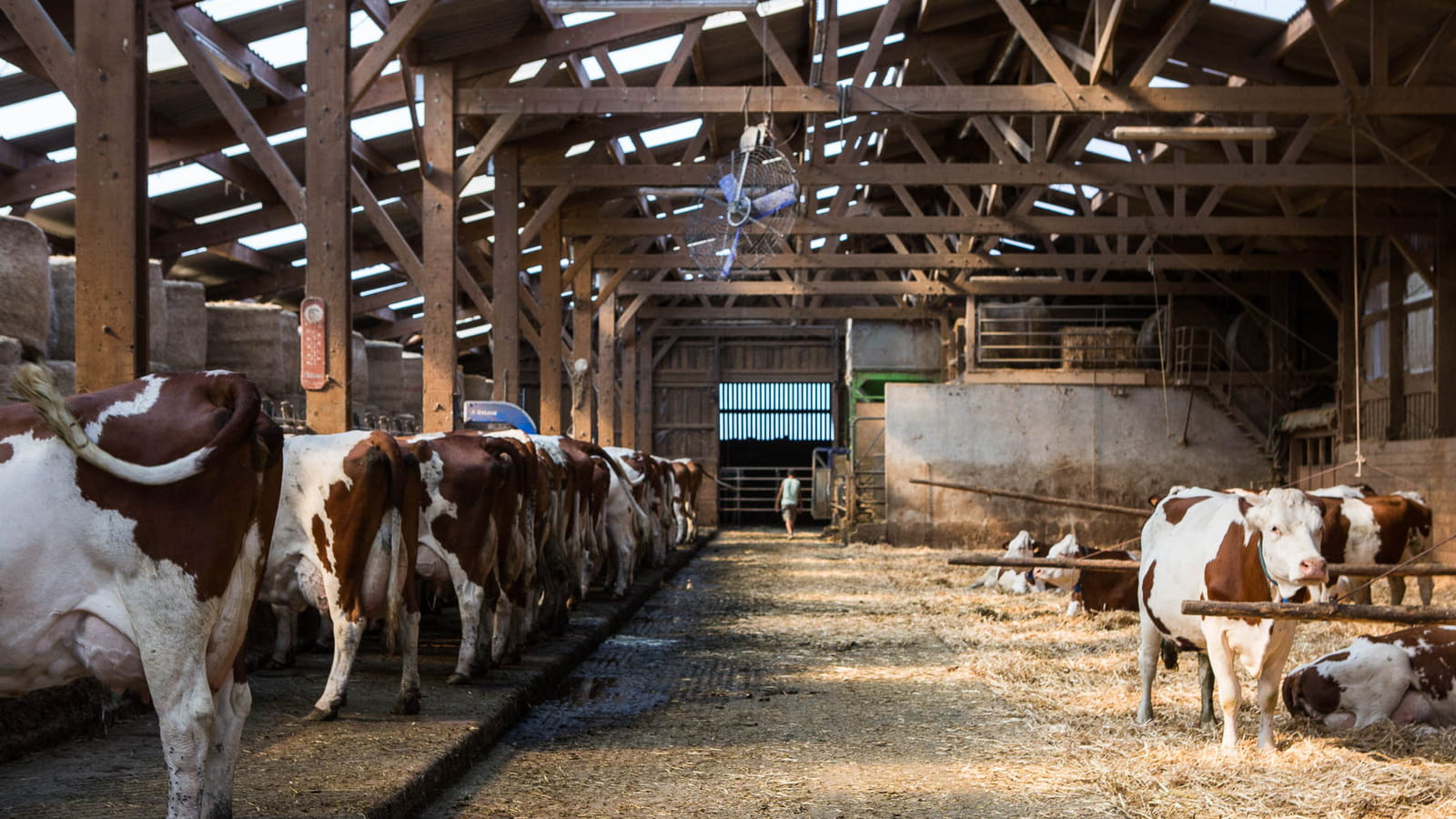 La ferme du GAEC