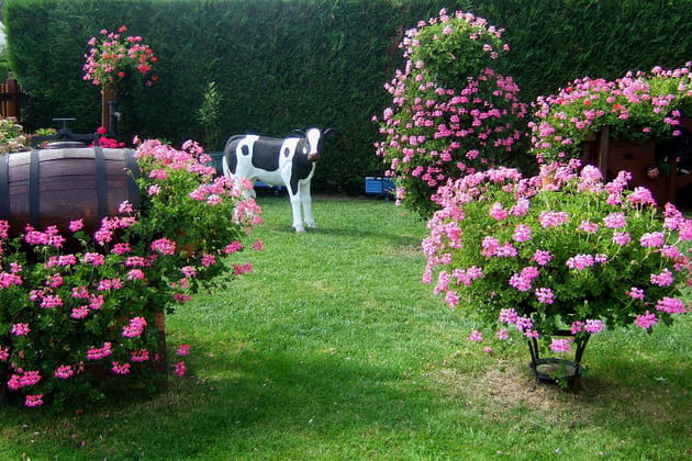 Le jardin de Jocelyne