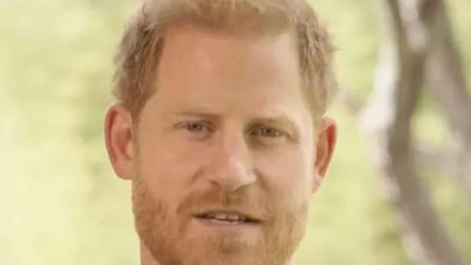 Prince Harry