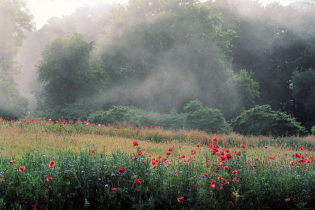 Espaces protecteurs, jardin sur la côte normande