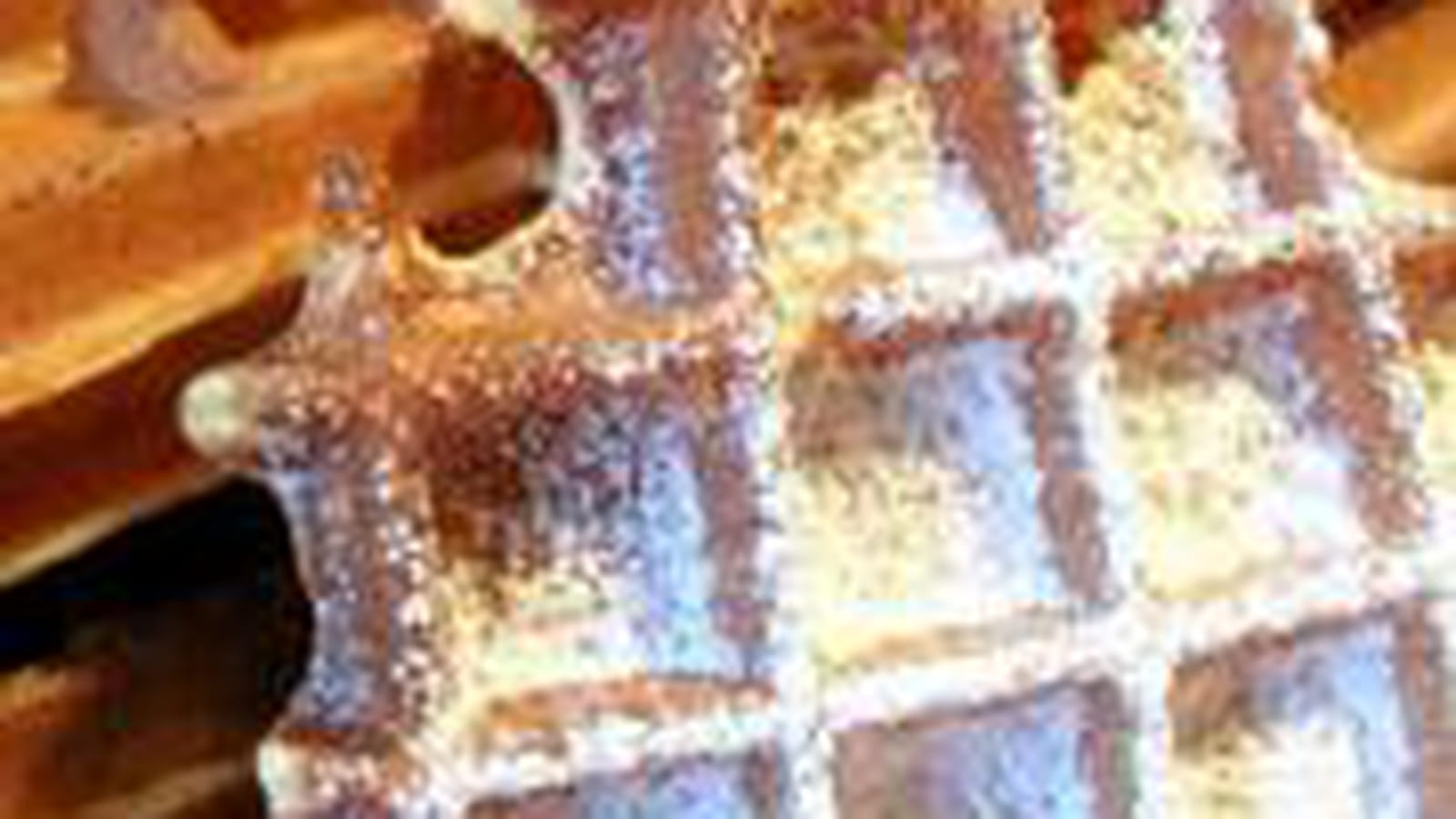 Gaufres au lait concentré