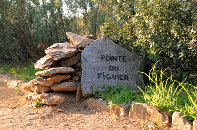 Le jardin de la Méditerranée