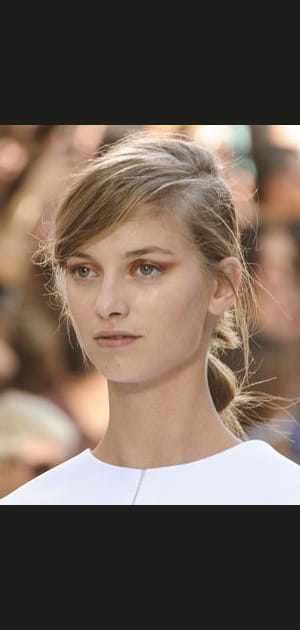 Fard &agrave; paupi&egrave;res iris&eacute; bronze