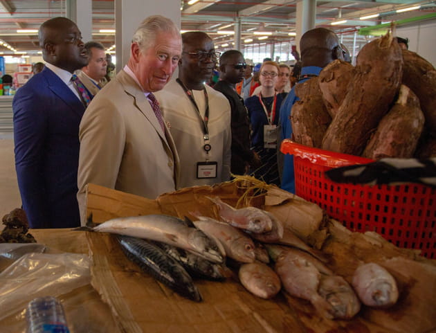 Prince Charles, comme un poisson dans l'eau&nbsp;?