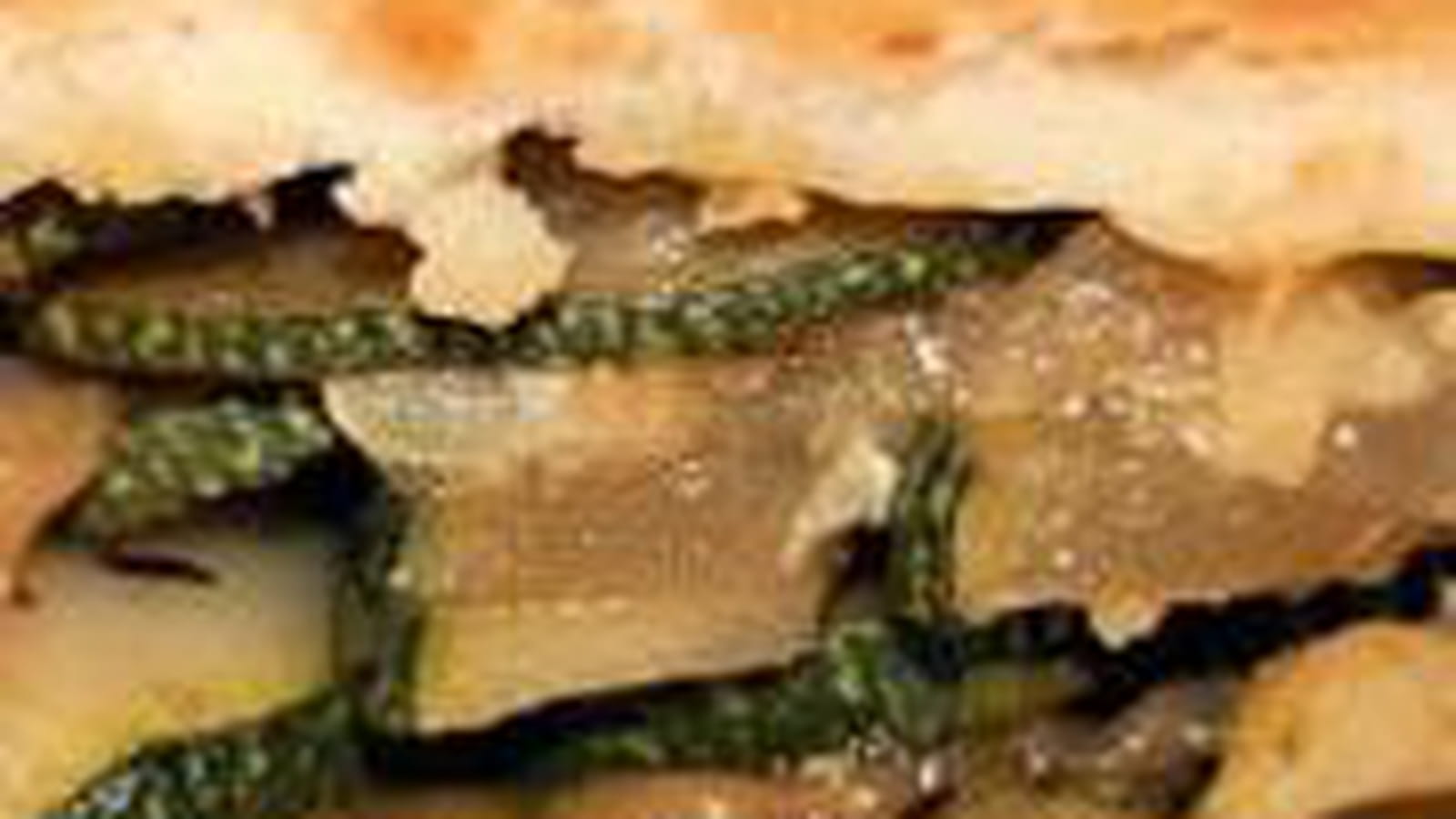 Tourte aux courgettes