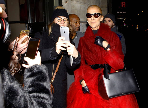 C&eacute;line Dion, reine des selfies