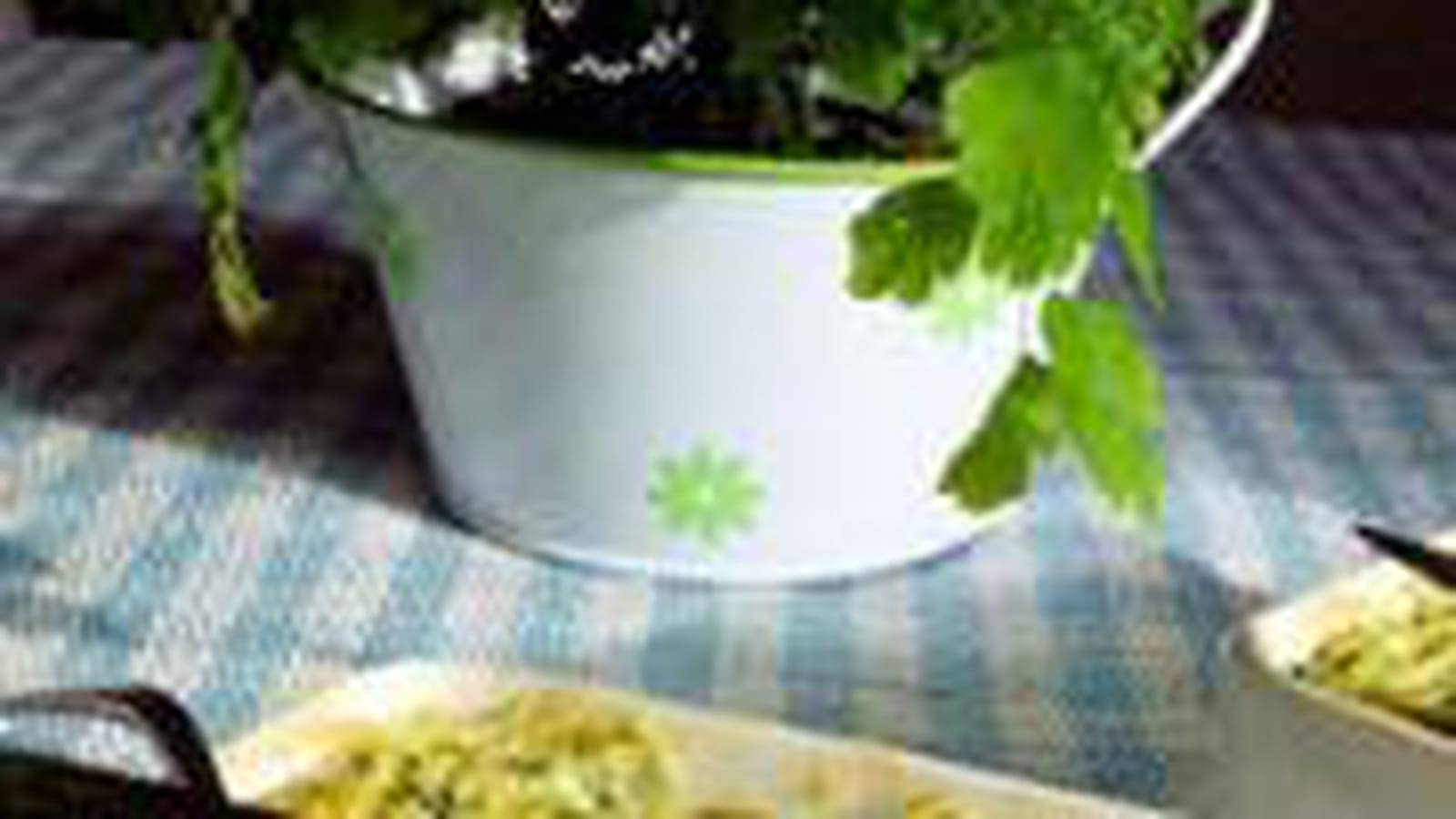 Gratin de courgettes au Brocciu