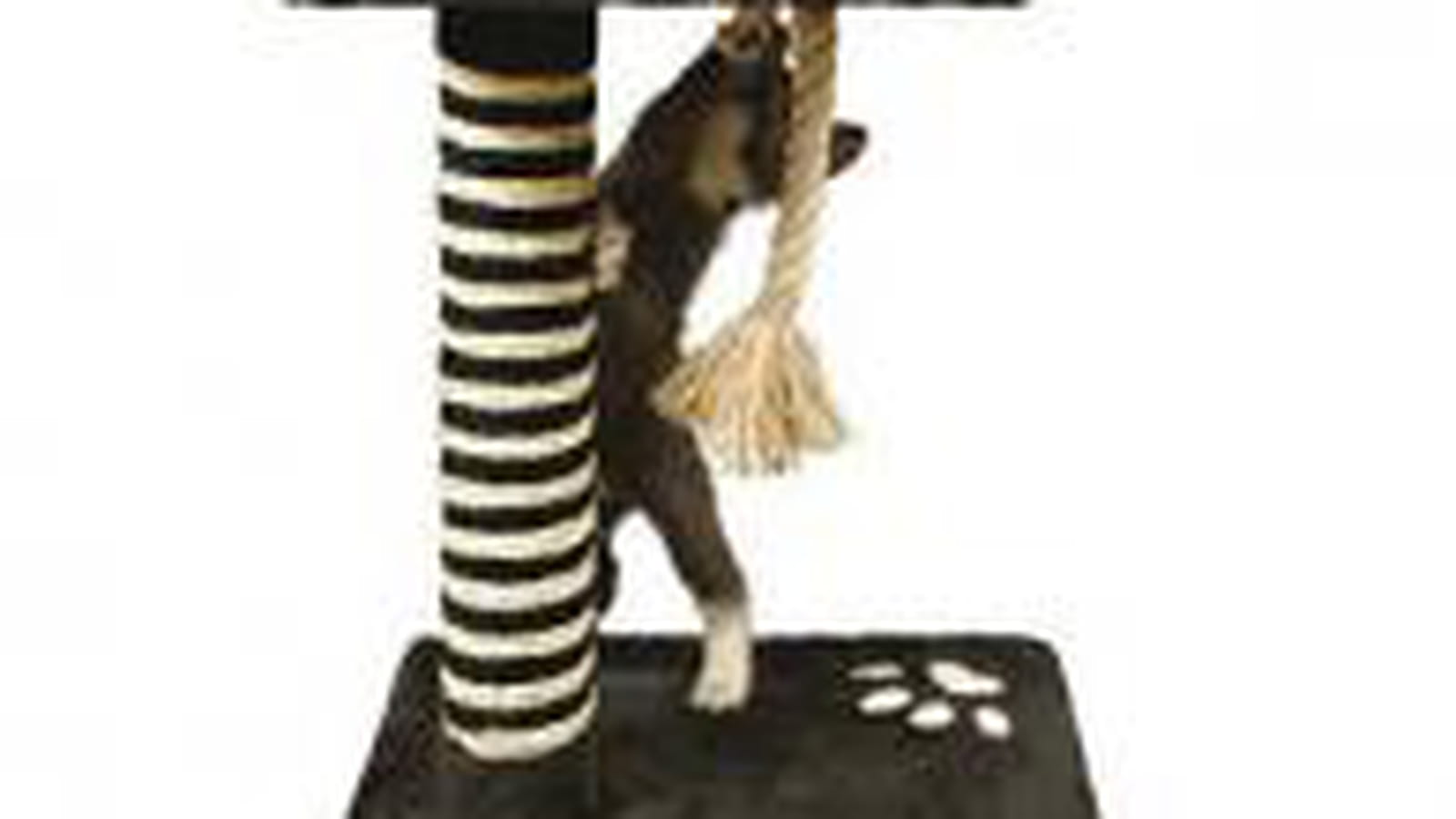 Arbre à chats