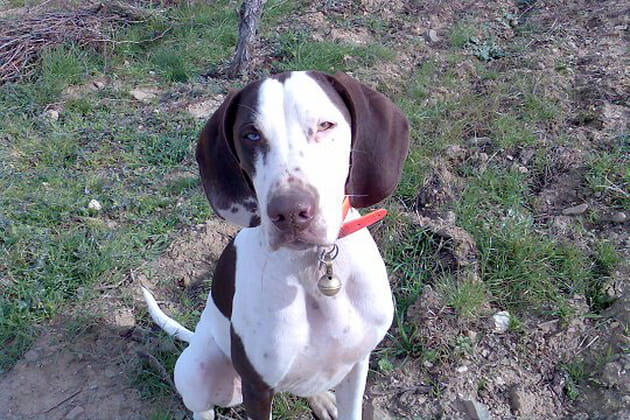 Un croisement atypique