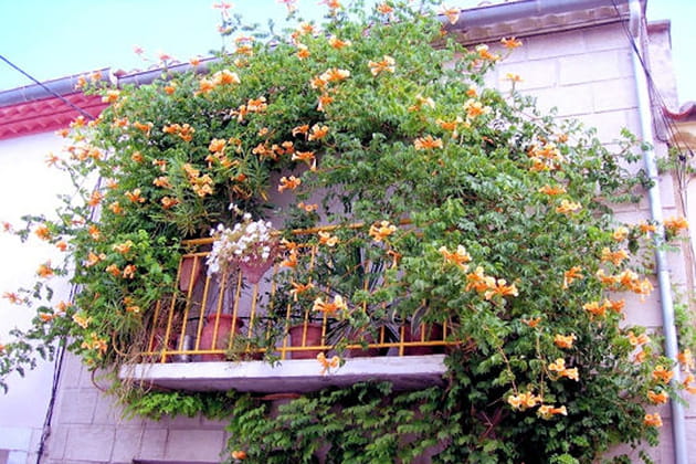 L'optimisation du balcon