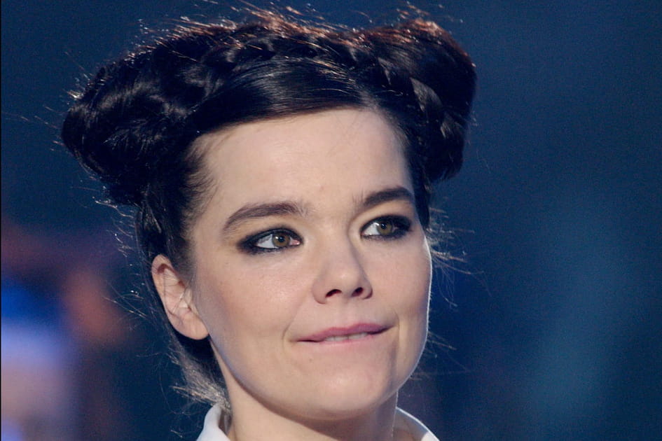 Les deux chignons hauts tress&eacute;s de Bjork