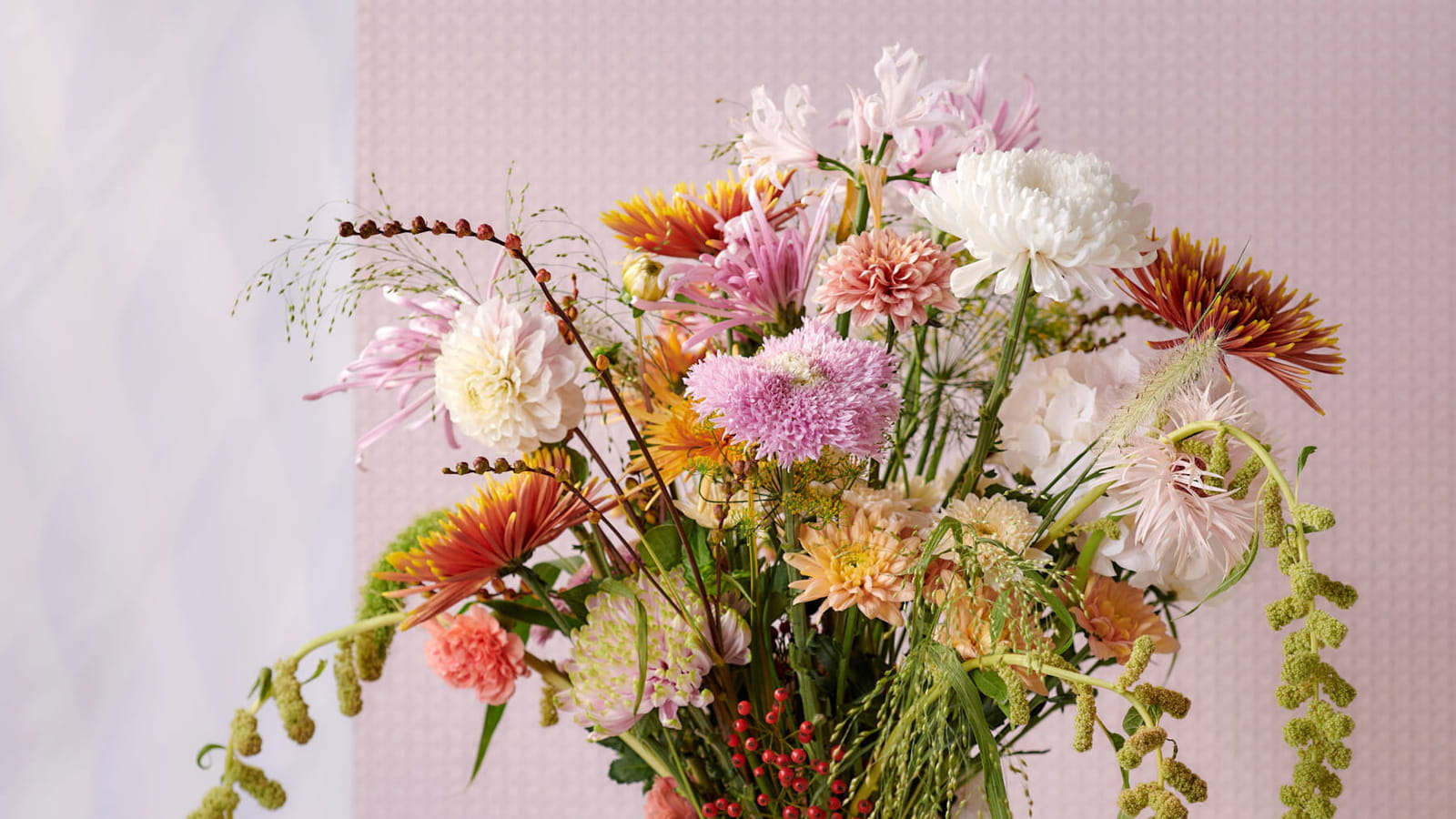 Chrysanthèmes