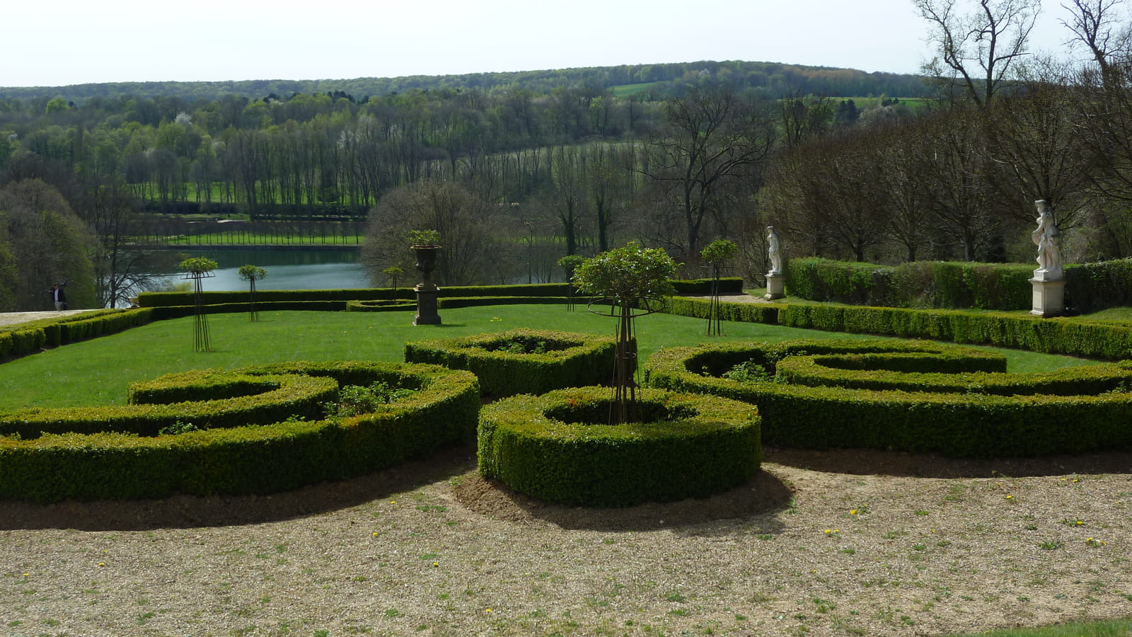 Médaillon de buis