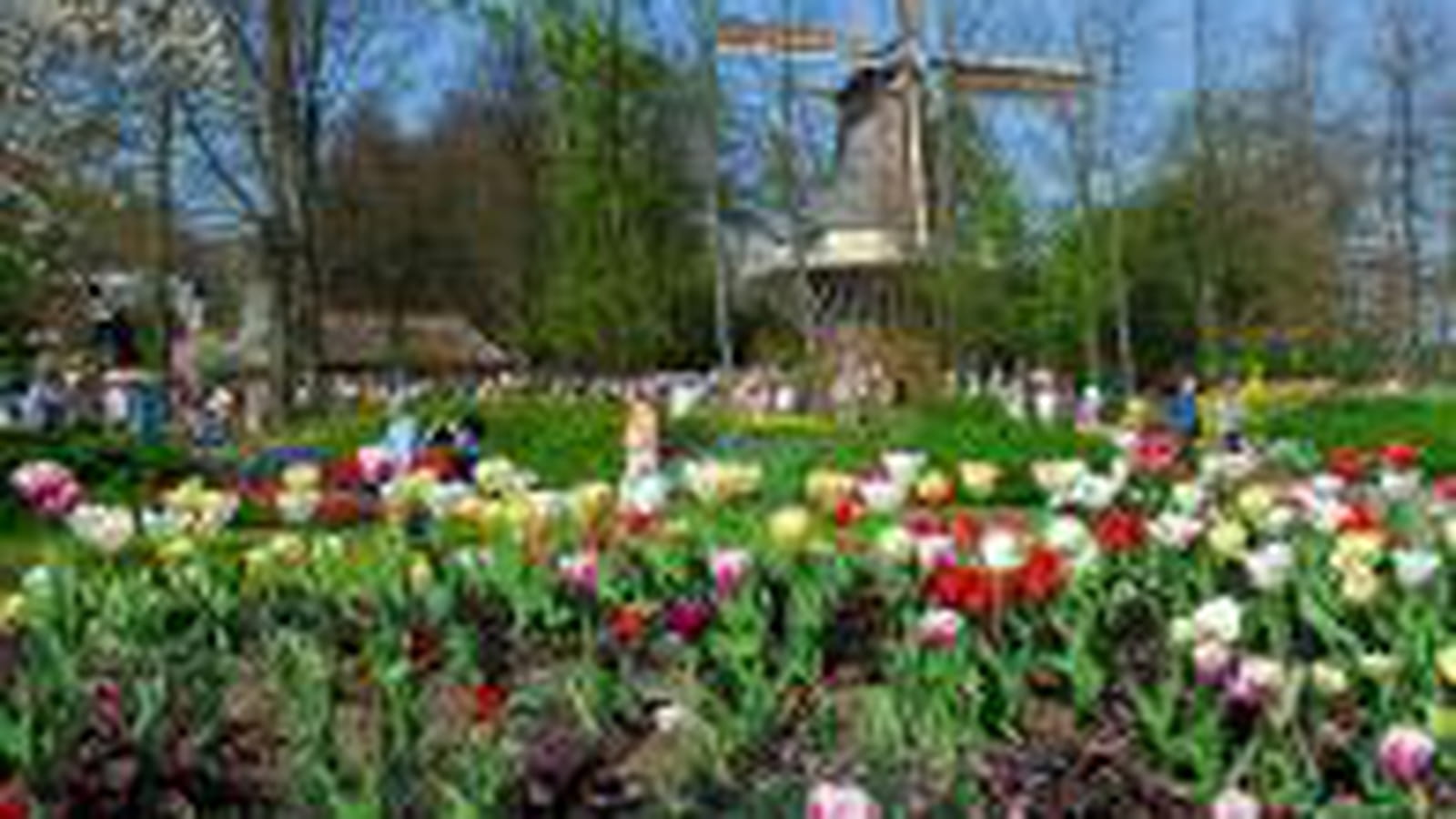 Parc Keukenhof