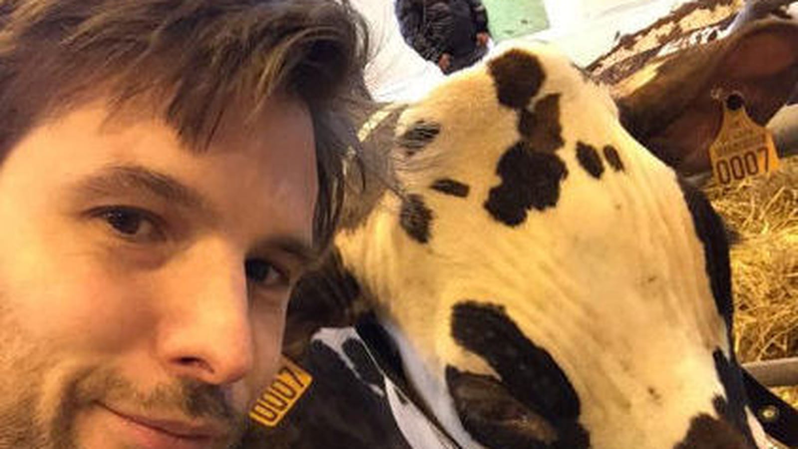 Grégory Cuilleron, l'amour vache