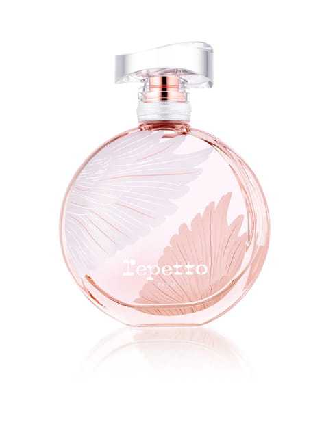 Le Ballet Blanc de Repetto