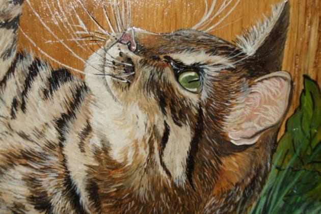 Les magnifiques tableaux animaliers des lecteurs