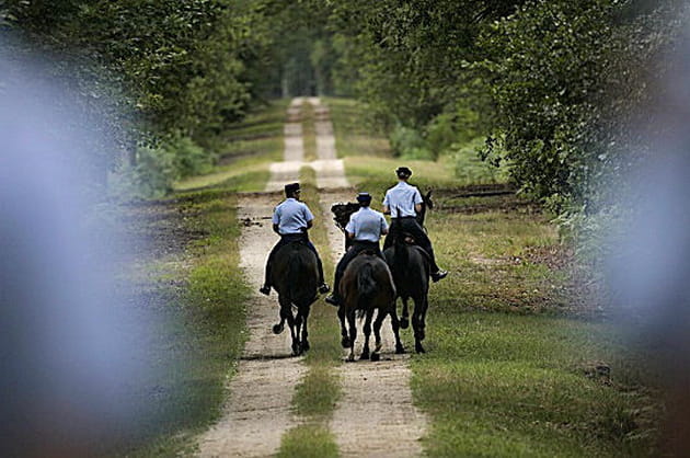 En patrouille &agrave; Chambord