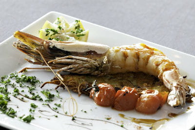 roches fleuries gastro 400 266