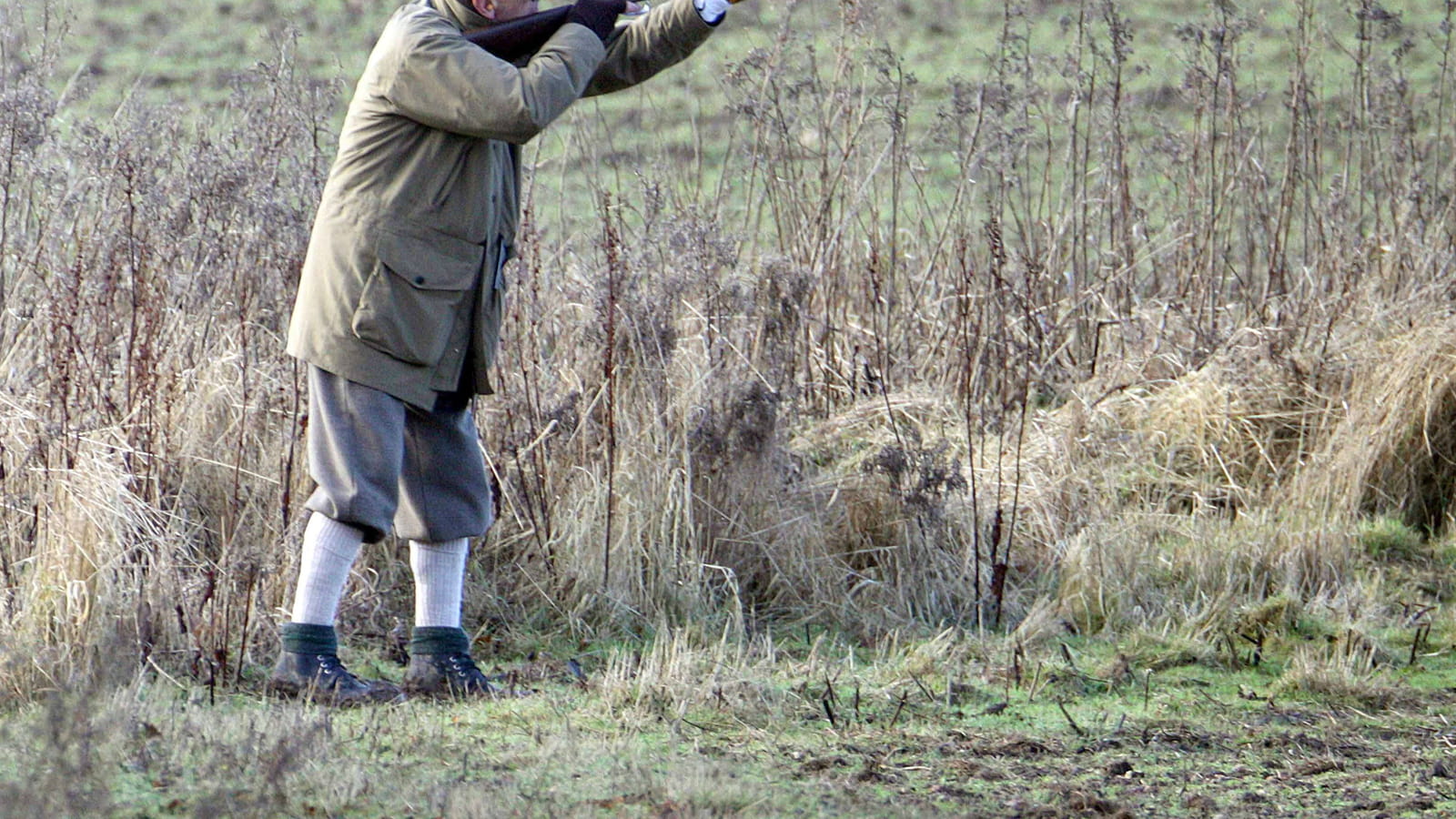 Après la pêche, vient la chasse 