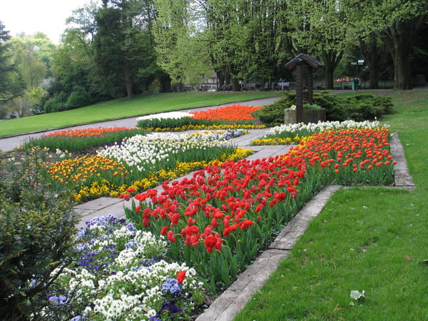 tulipes-au-parc-zoologique-et-botanique-de-mulhouse