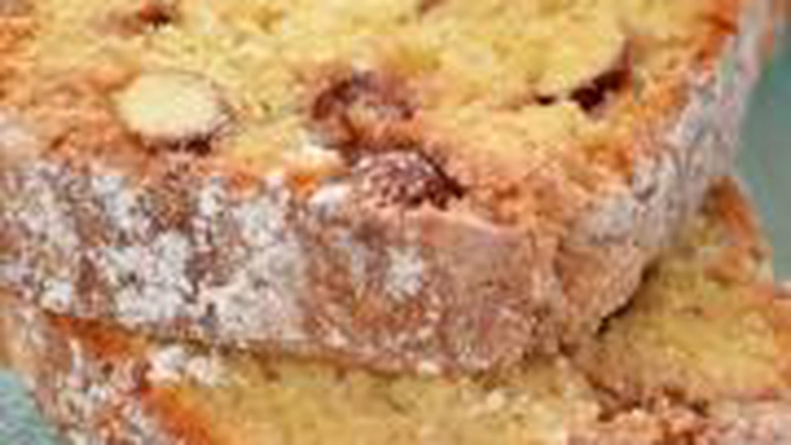 Cake aux dragées